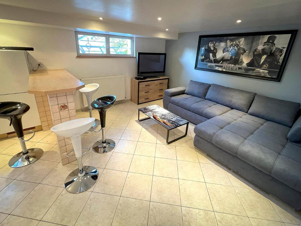 Villa 250M2 Avec Piscine Chauffee & Spa & Kota-Grill & Sauna Saint-Die-des-Vosges 外观 照片